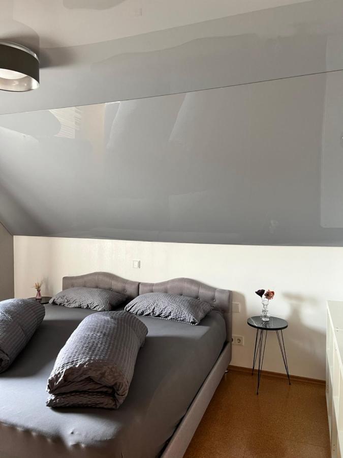 Lifestyle Apartment Sinsheim Exterior photo